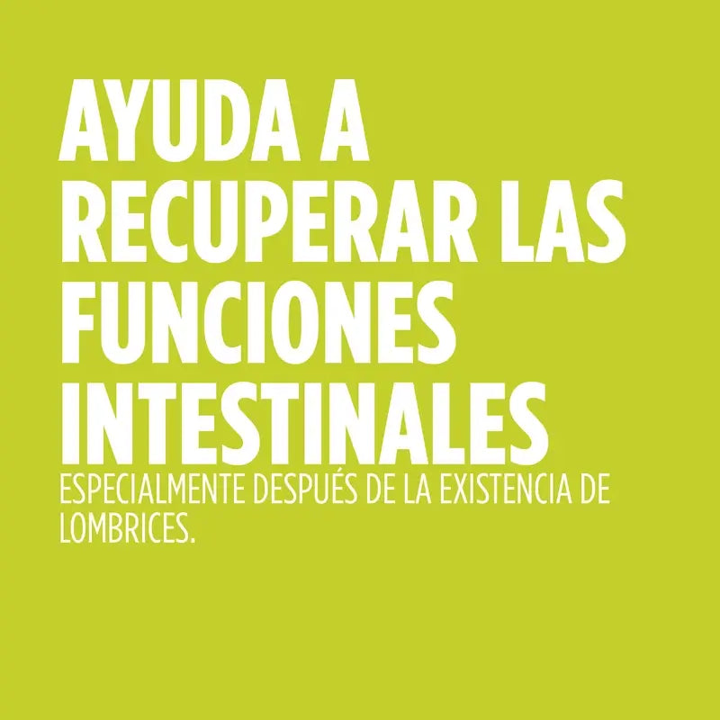 Eladiet Lombrifin Xarope, 250 ml