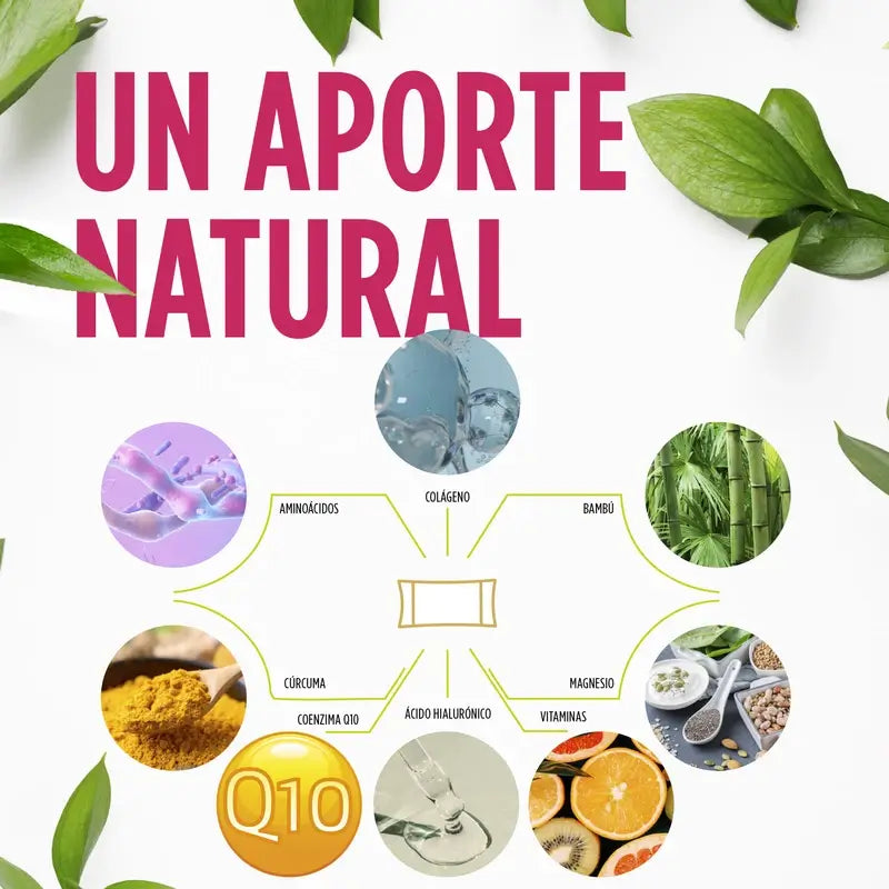 Eladiet Regen & Dol Flexi, 14 sticks