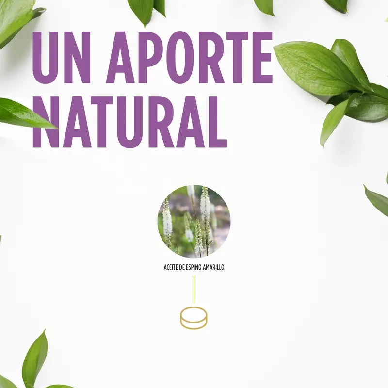 Eladiet Vita Woman Black Cohosh 60 comprimidos