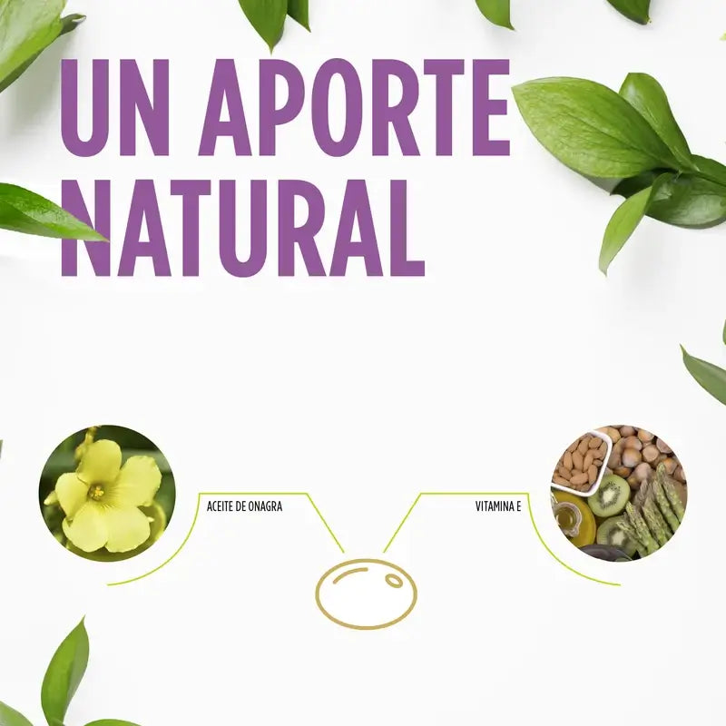 Eladiet Vitawoman Prímula da noite, 200 pérolas