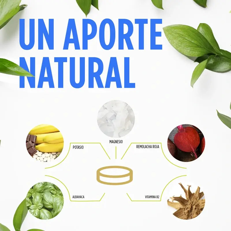 Eladiet Vit&Min Magnésio + Potássio, 14 comprimidos