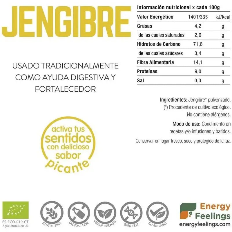 Energy Feelings Gengibre em Pó 1Kg. Eco Vegan Sg