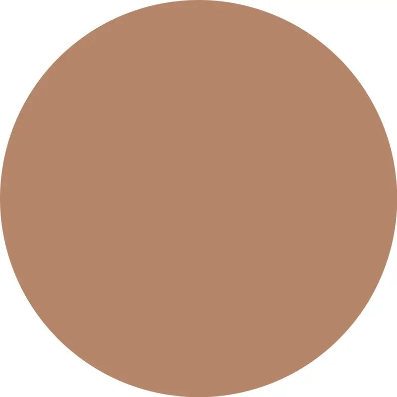 Essence Concealer Camouflage+ Matt 180 , 8 ml