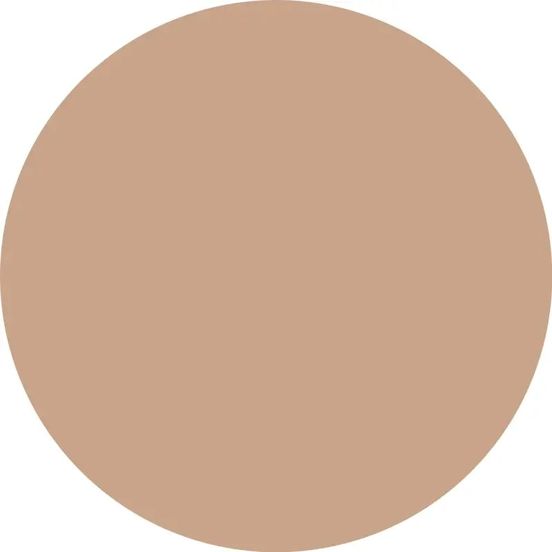 Essence Camouflage+ Concealer Matte 120, 8 ml