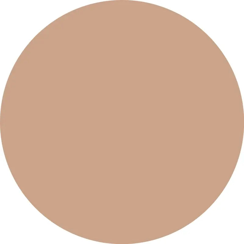 Essence Silky Blur Corretor Hidratante de Longa Duração 120, 10 ml