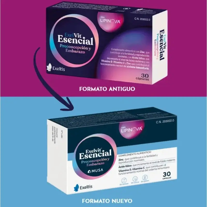 Exelvit Essential Preconception and Pregnancy, 6x30 cápsulas