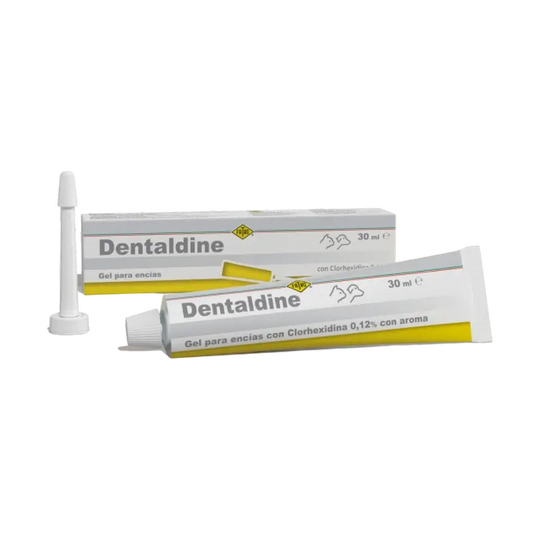 Fatro Dentaldine Gel Oral, 30 ml