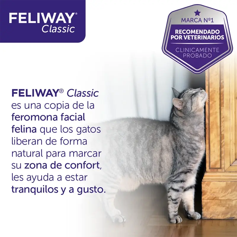 Difusor Feliway + Refil, 48 Ml 1 Mês