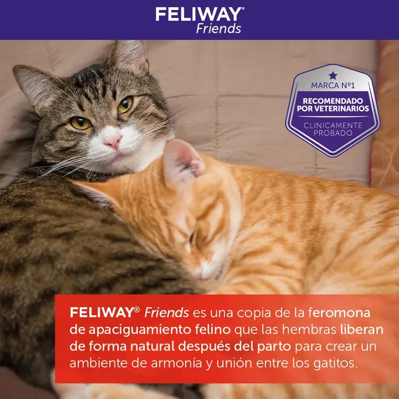 Ceva Feliway Friends Substitui