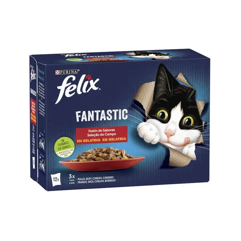Felix Fantastic Carnes Gelatina 4x24x85 gramas