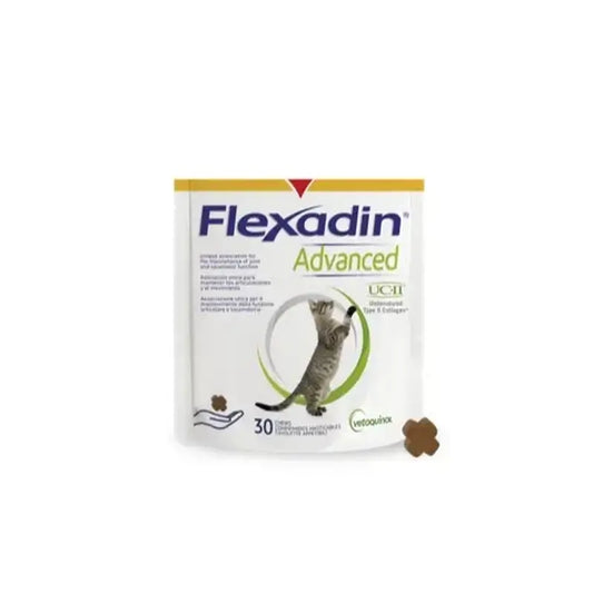 FLEXADIN ADIANTAMENTO CW GAT 30CPD
