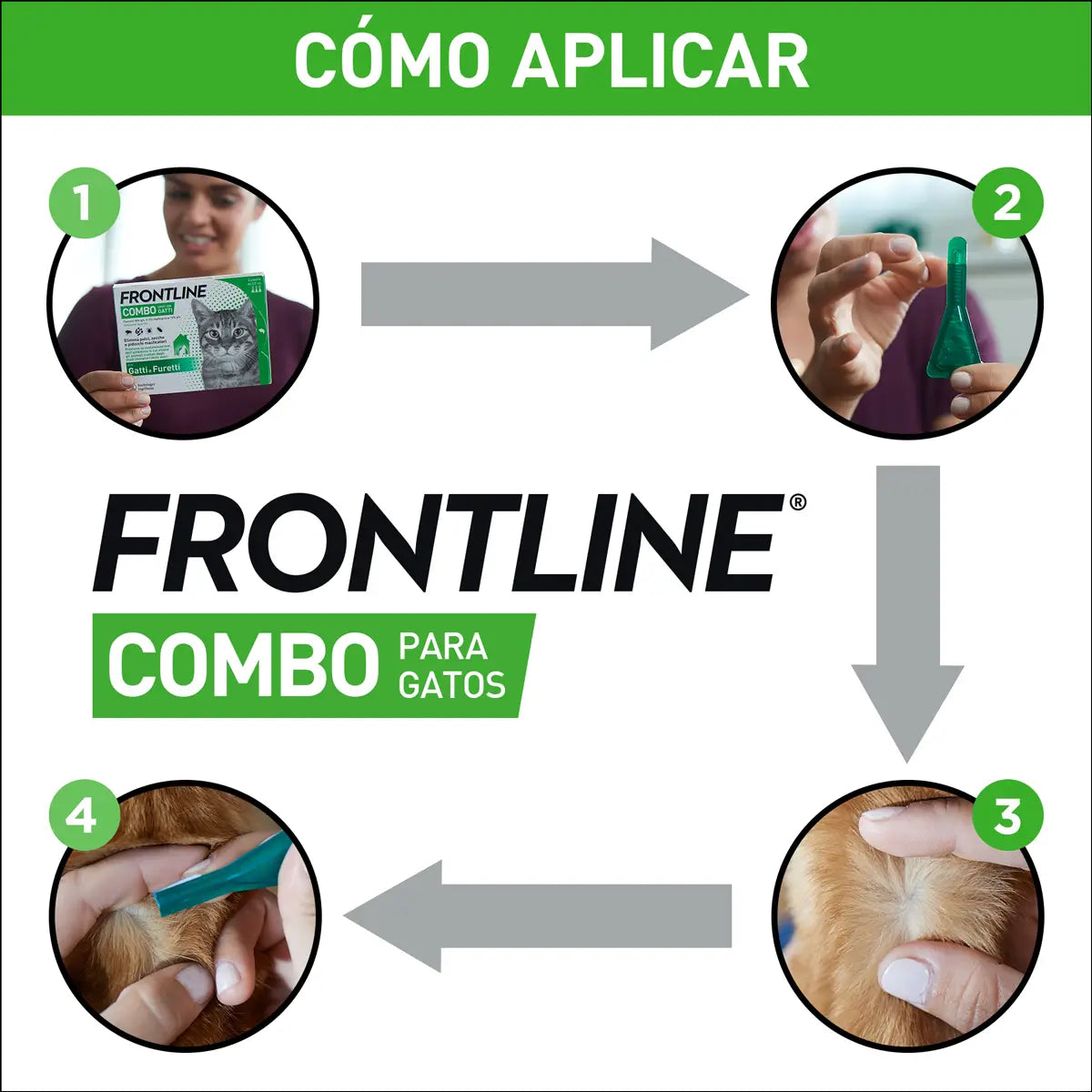 Frontline Combo Gatos e Furões Spot On, 6 Pipetas x 0,5 ml