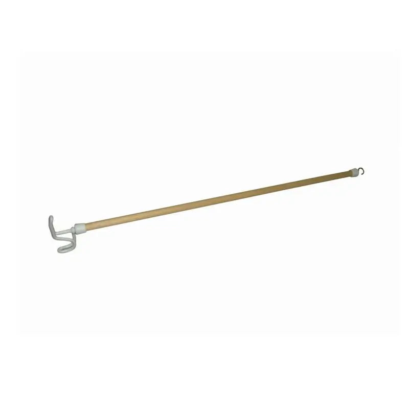 Bastão de Penso Garcia 1880