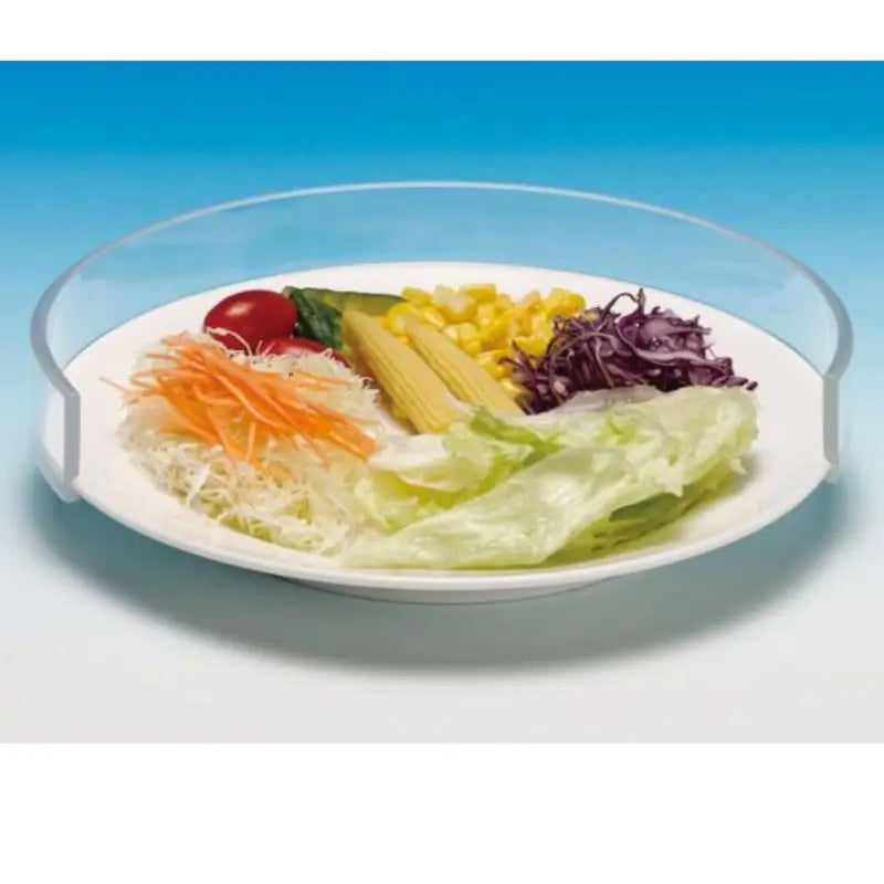 Borda da placa elástica Garcia 1880