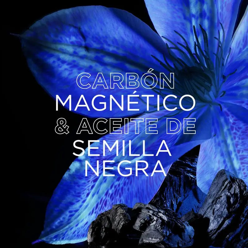 Champô de Carvão Vegetal Magnético Garnier Original Remedies