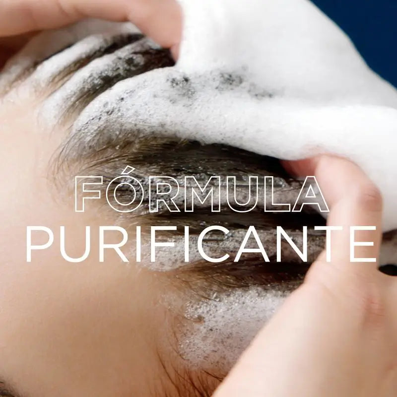 Champô de Carvão Vegetal Magnético Garnier Original Remedies