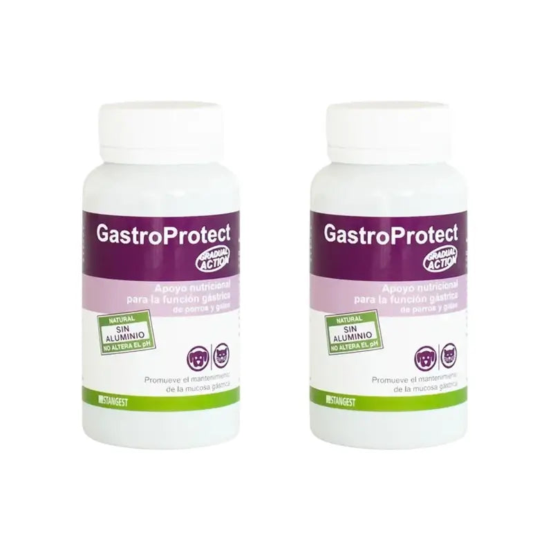 Gastroprotect Stangest, 2X30 Comprimidos