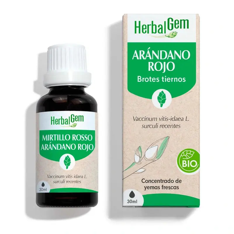 Herbalgem Mirtilo Orgânico 30 Ml
