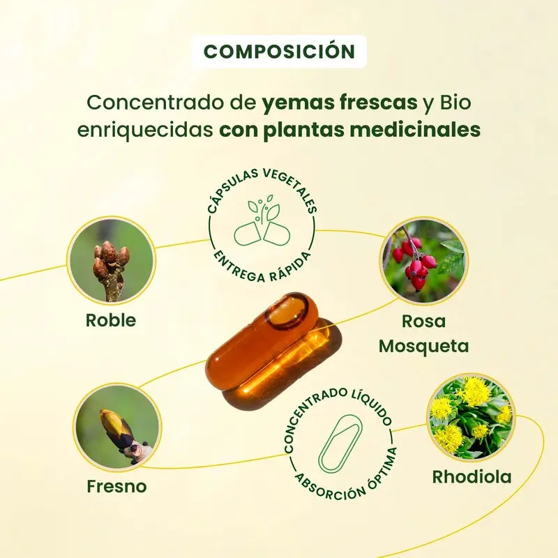 Herbalgem Gemmocaps Stress Protect Mood +, 30 cápsulas