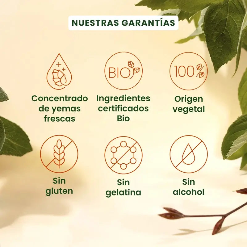 Herbalgem Gemmocaps Stress Protect Cognition, 30 cápsulas