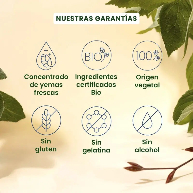 Herbalgem Gemmocaps Stress Protect Soil, 30 cápsulas