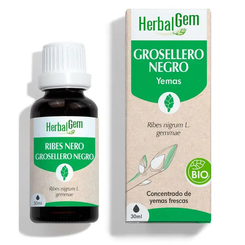 Herbalgem Groselha Preta, 30ml