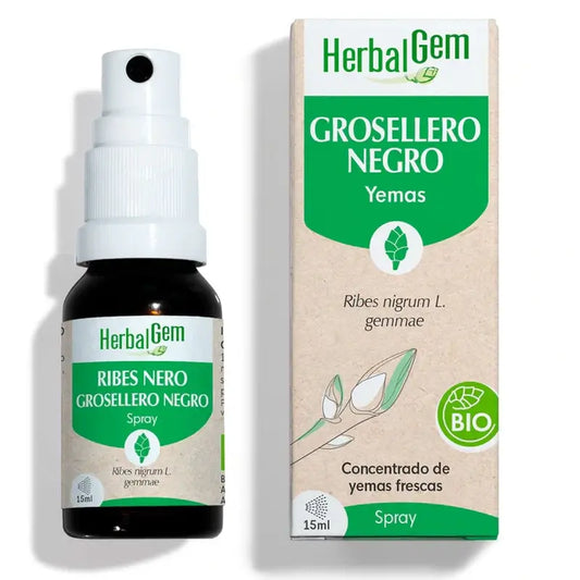 Herbalgem Groselha Preta, 15ml