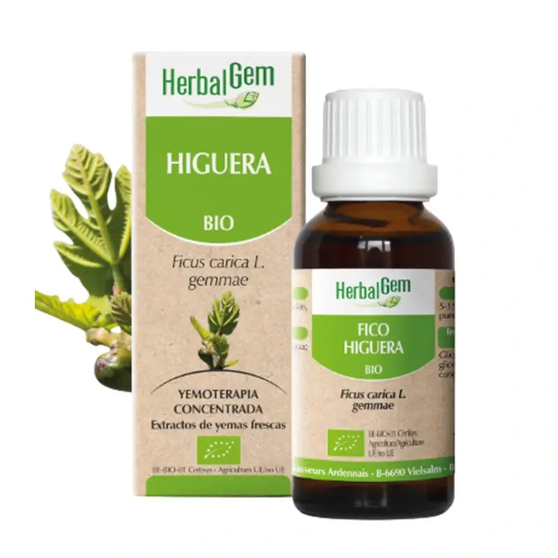 Herbalgem Fig Gotas, 15 ml