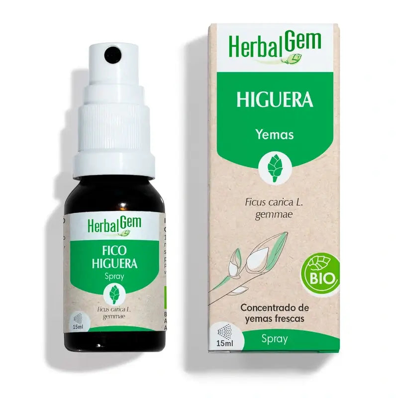Herbalgem Figueira da Índia Spray Bio, 15ml