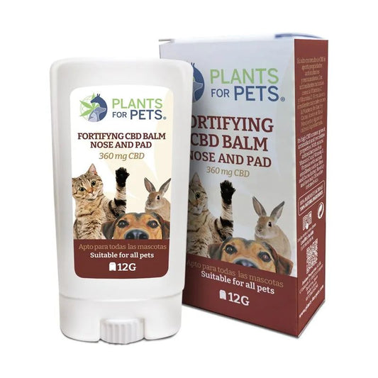 Plants For Pets Bastão Fortificante , 12 g