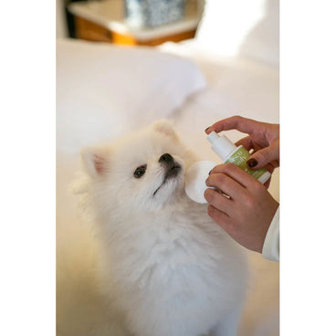 Masco Beauty Eye Cleanser para Cães, 30ml