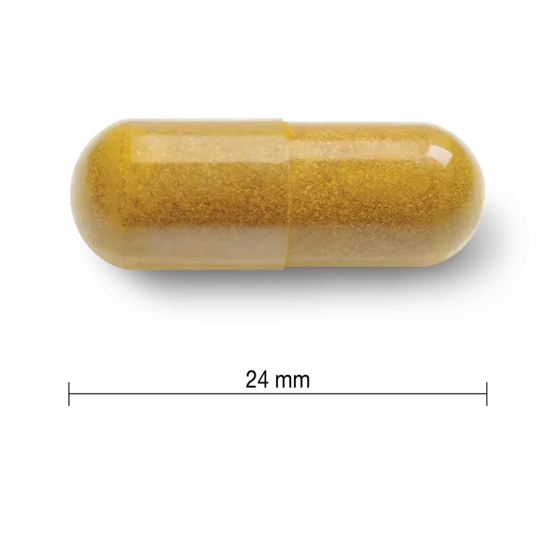 Jamieson Curcumin Curcuma 550Mg , 60 cápsulas