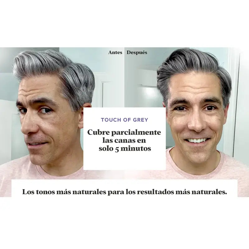 Just For Men Touch Of Grey Castanho