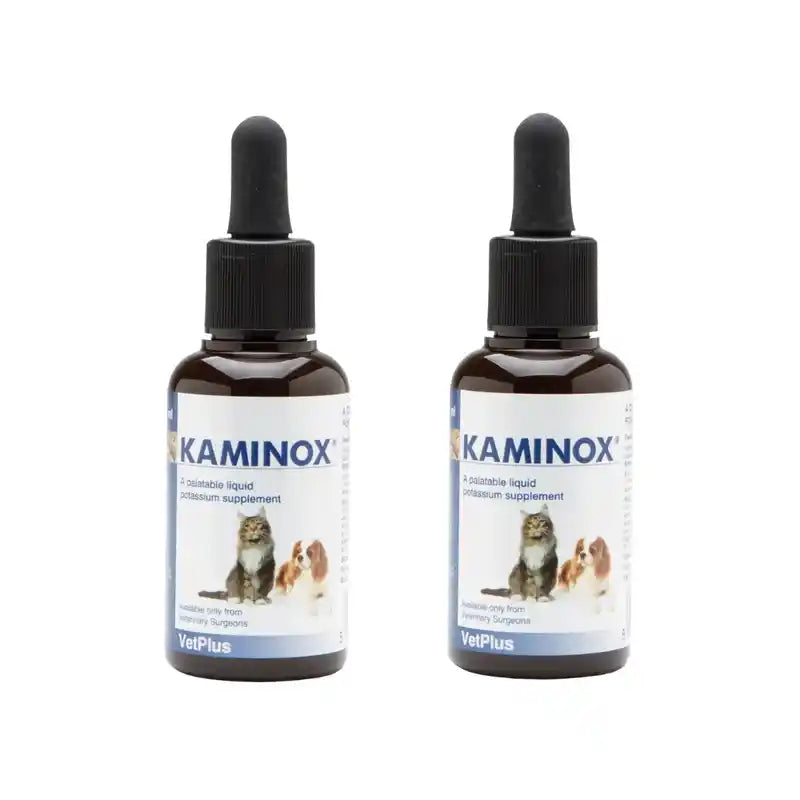 Kaminox , 2X120 Ml