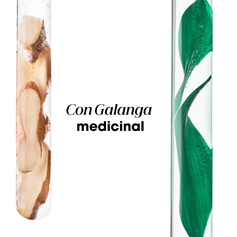 Klorane Champô de Tratamento Anti-Caspa Reequilibrante A La Galanga, 400 ml