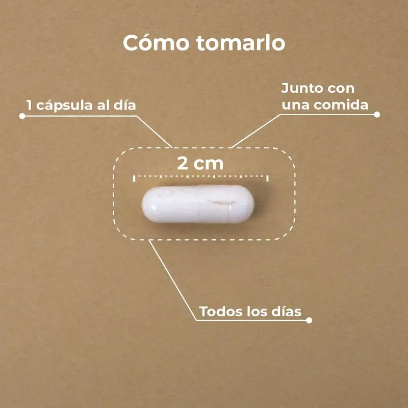 Kobho Labs Suplemento de Vitamina C Lipossomal + Reishi, 60 cápsulas