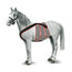 Kruuse Equine Breast Strap (165210), Tamanho M