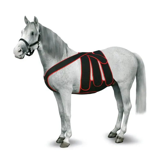 Kruuse Equine Post Colic Kit S