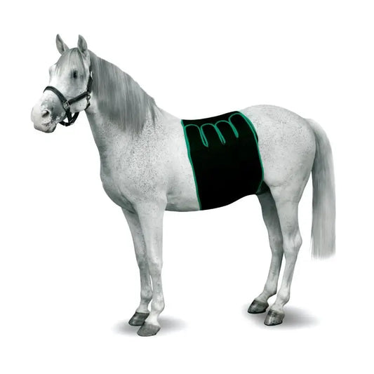 Kruuse Equine Bandage Recovery Tamanho S