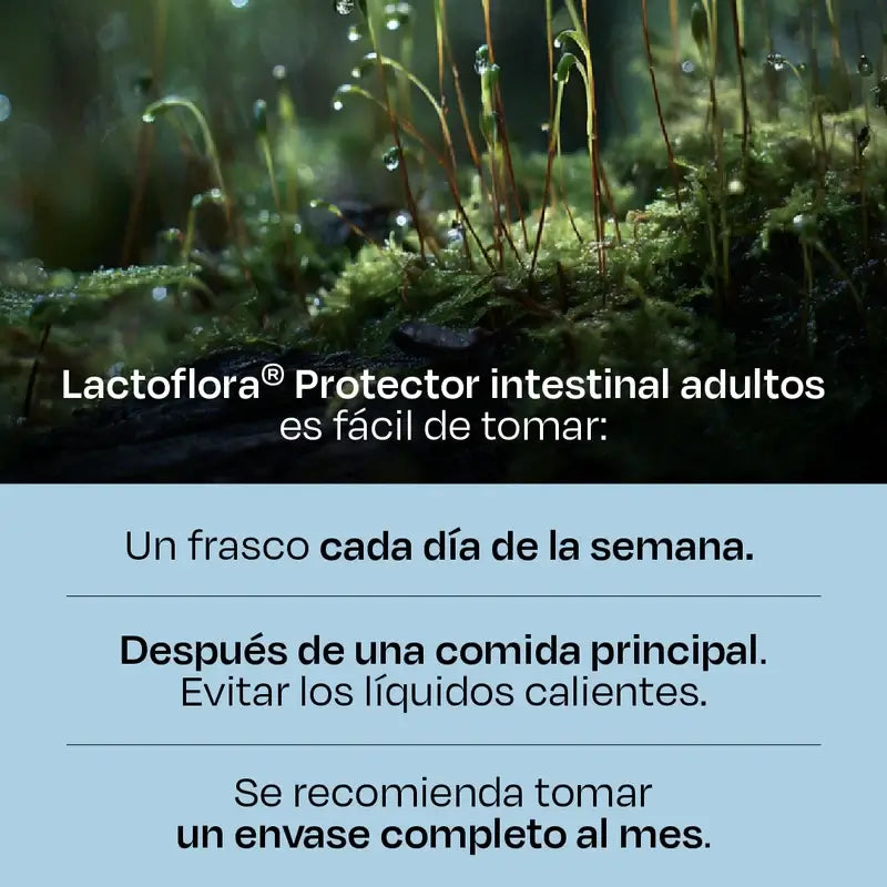 LACTOFLORA 7 FRASCOS DE DOSE ÚNICA PARA ADULTOS