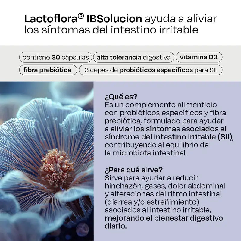 Lactoflora Ibsolution 28 saquetas