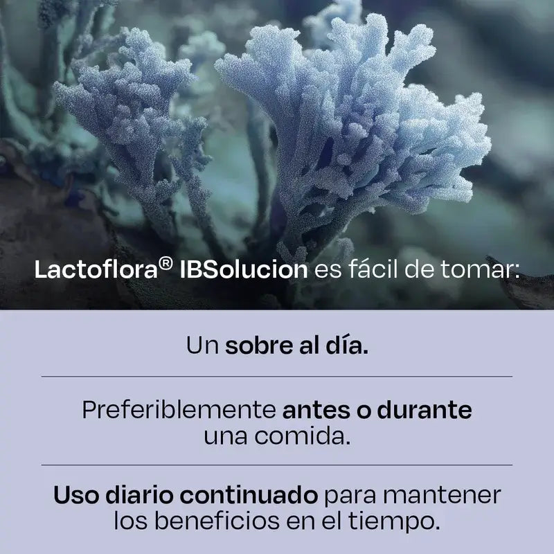 Lactoflora Ibsolution 28 saquetas