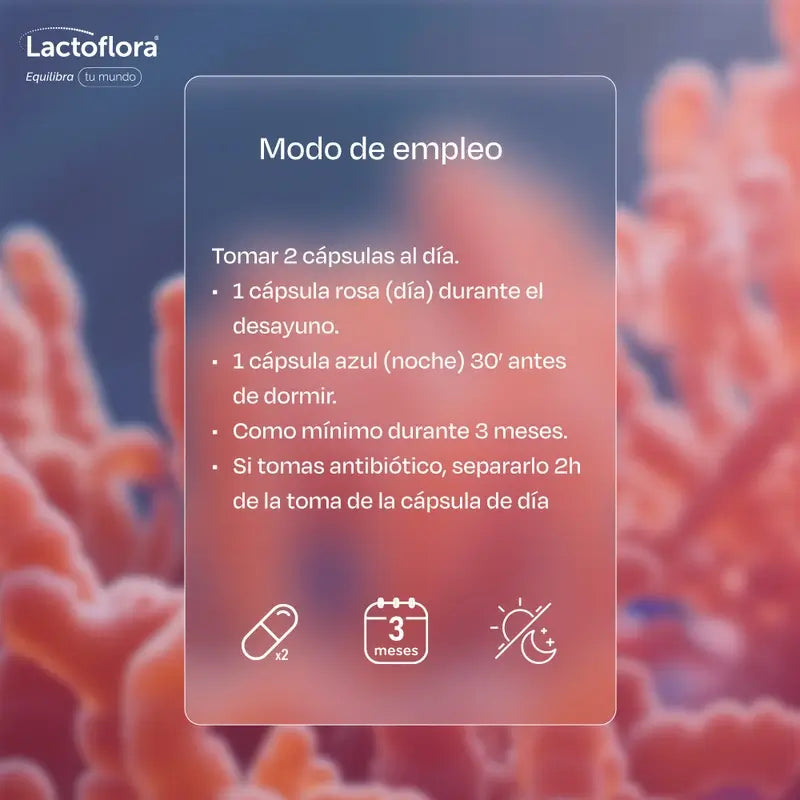 Lactoflora Menopausa Dia & Noite , 60 cápsulas