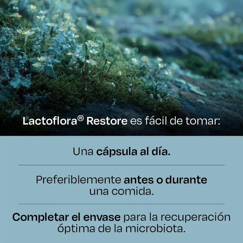 Lactoflora Restore Pack 3 x 20 cápsulas