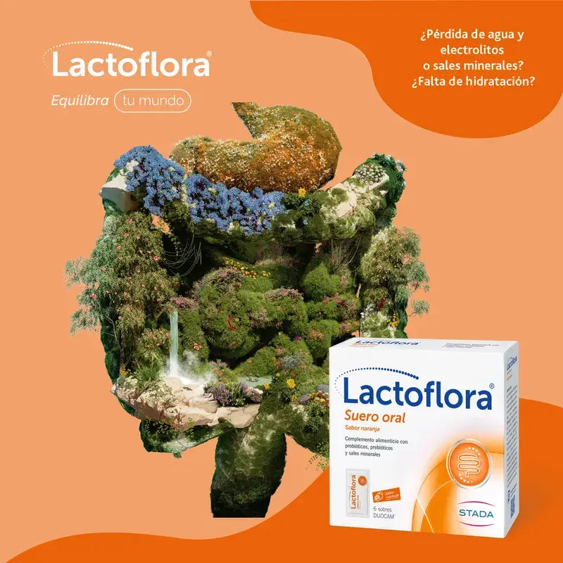 Lactoflora Soro Oral com Probióticos, Prebióticos e Sais Minerais Sabor a Laranja , 6 saquetas