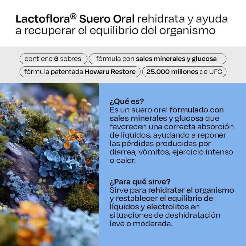 Lactoflora Soro Oral com Probióticos, Prebióticos e Sais Minerais Sabor a Laranja , 6 saquetas