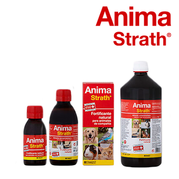 STANGEST ANIMA STRATH 25% DE DESCONTO (31 DE DEZEMBRO DE 2025)