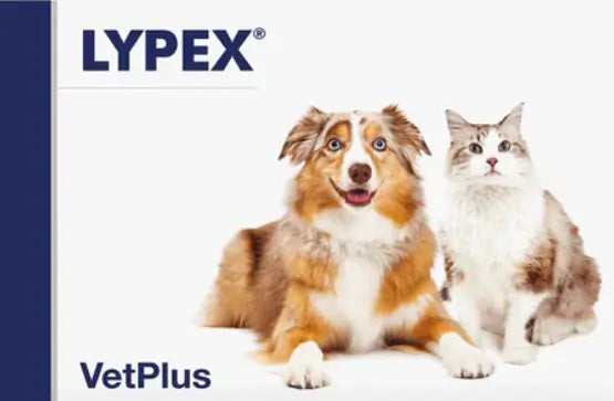 Lypex Cães e Gatos, 60 Cápsulas