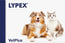Lypex Cães e Gatos, 60 Cápsulas