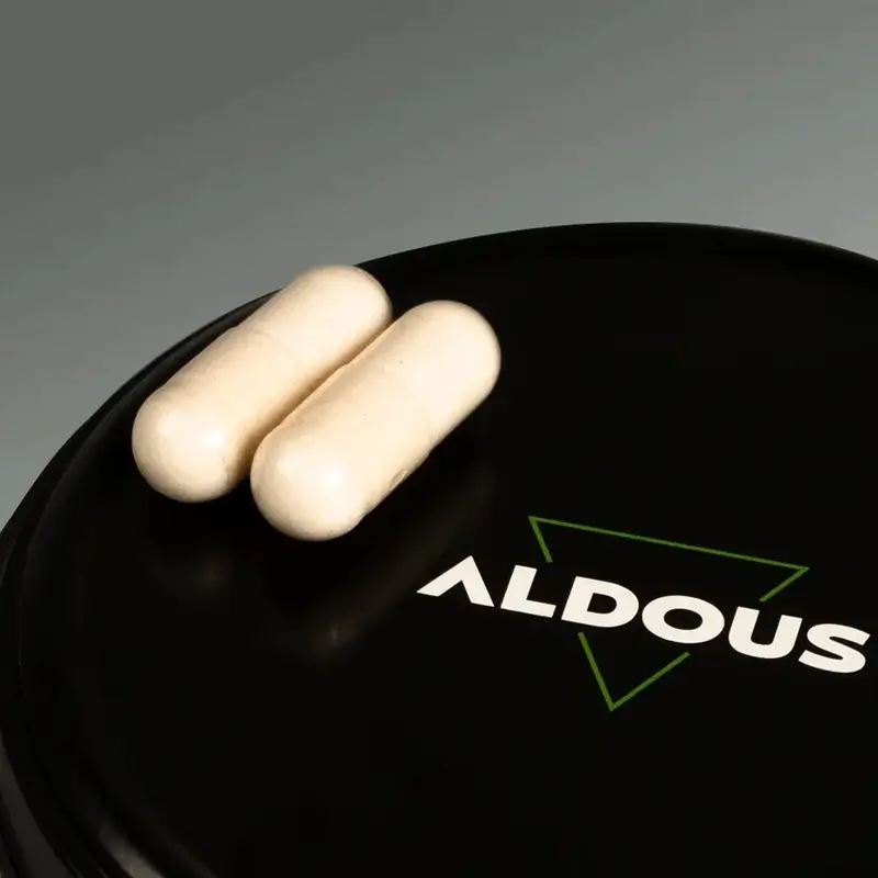 Aldous Labs Melatonina com 5HTP, Magnésio, Valeriana e Vitamina B6